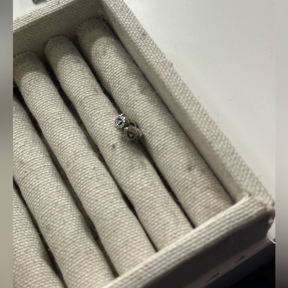 Pandora charm